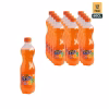 Fanta Pet (12)